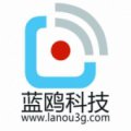 大連藍(lán)鷗科技有限公司